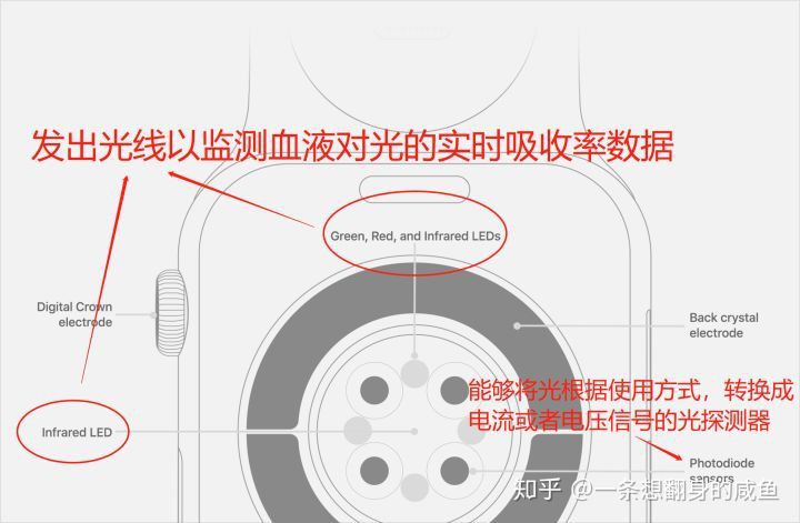 v2-1eb4f342fd7387e456c9513485f9af26_720w v2-1eb4f342fd7387e456c9513485f9af26_720w