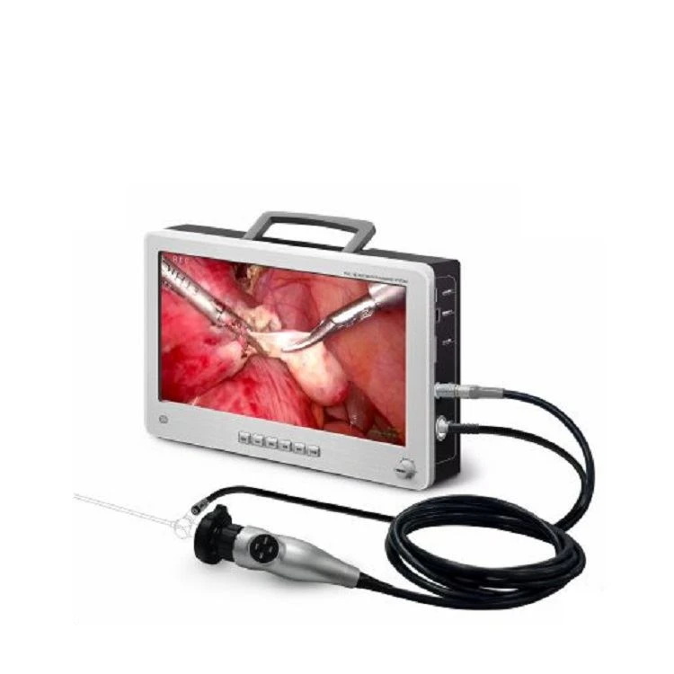 Endoscopic imaging system