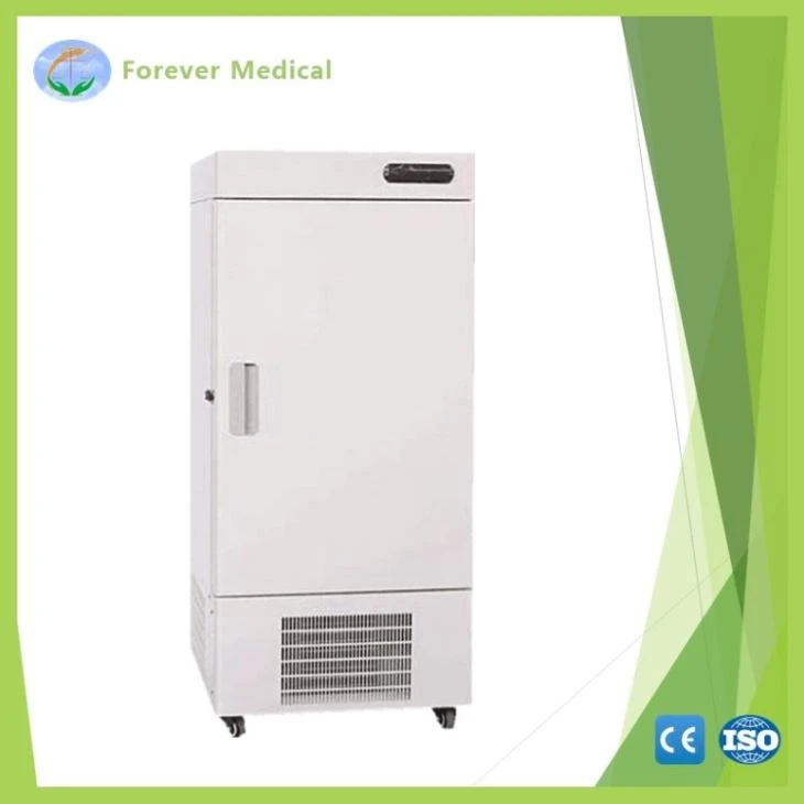 -40 Vertical Freezer Ult Freezer -40 Vertical Freezer Ult Freezer