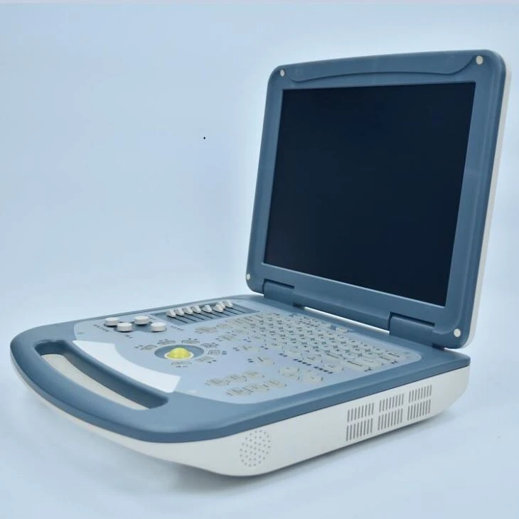 Radiology Ultrasound Diagnosis System Radiology Ultrasound Diagnosis System