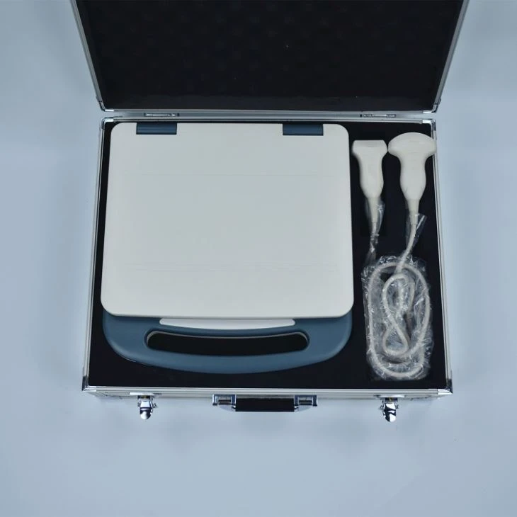 Radiology Ultrasound Diagnosis System Radiology Ultrasound Diagnosis System