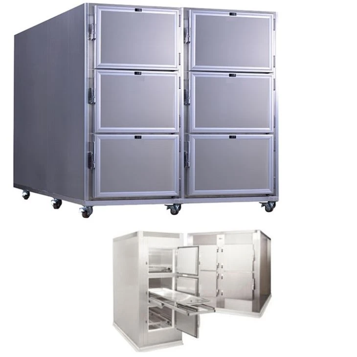 Bodies Corpse Freezer