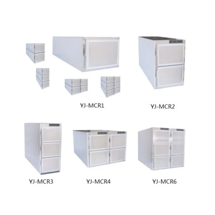Bodies Corpse Freezer