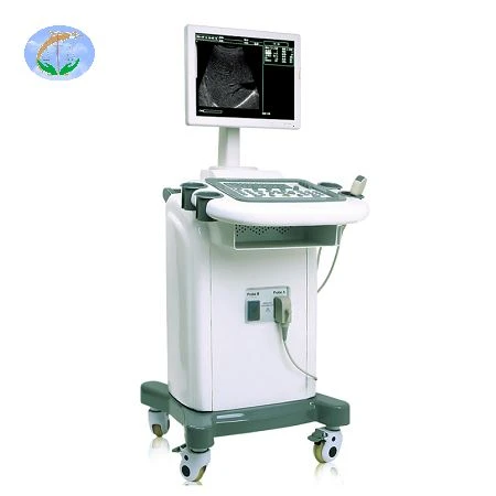 B&W 2D Full Digital Trolley Ultrasound Scanner B&W 2D Full Digital Trolley Ultrasound Scanner
