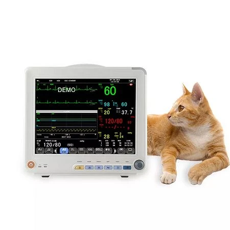 parameter patient monitor