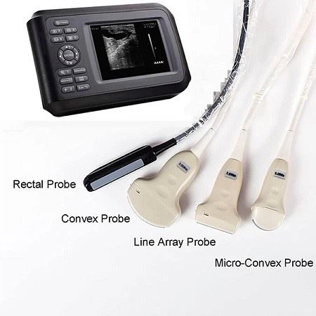 Small Animal Ultrasound Hand Carried Ultrasound