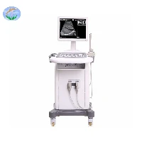B&W 2D Full Digital Trolley Ultrasound Scanner